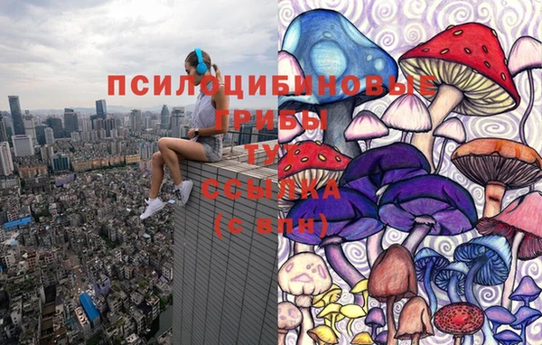 СК Алексин