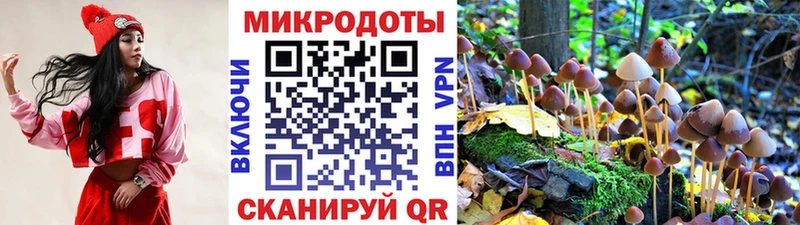Галлюциногенные грибы MAGIC MUSHROOMS  площадка наркотические препараты  Сыктывкар 